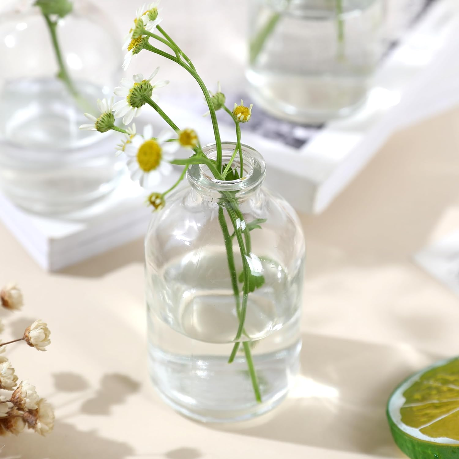 Magic Season Decorative Glass Bottles (6 Pcs / 50 Ml) image number 3