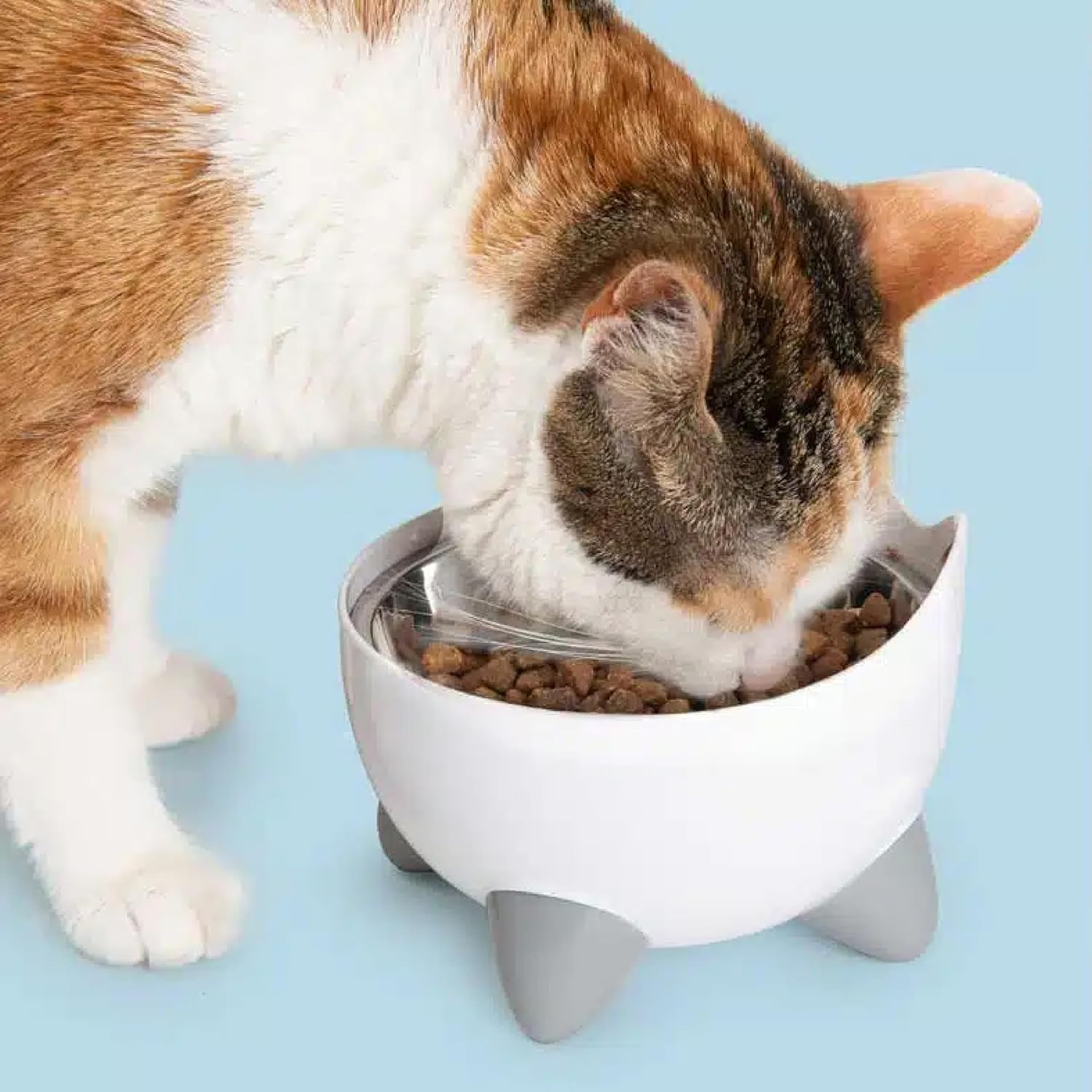 Catit Pixi Feeding Dish with 2 Shallow Stainless Steel Dishes, Easy to Eat, Cat Motif Feeding Dish image number 4