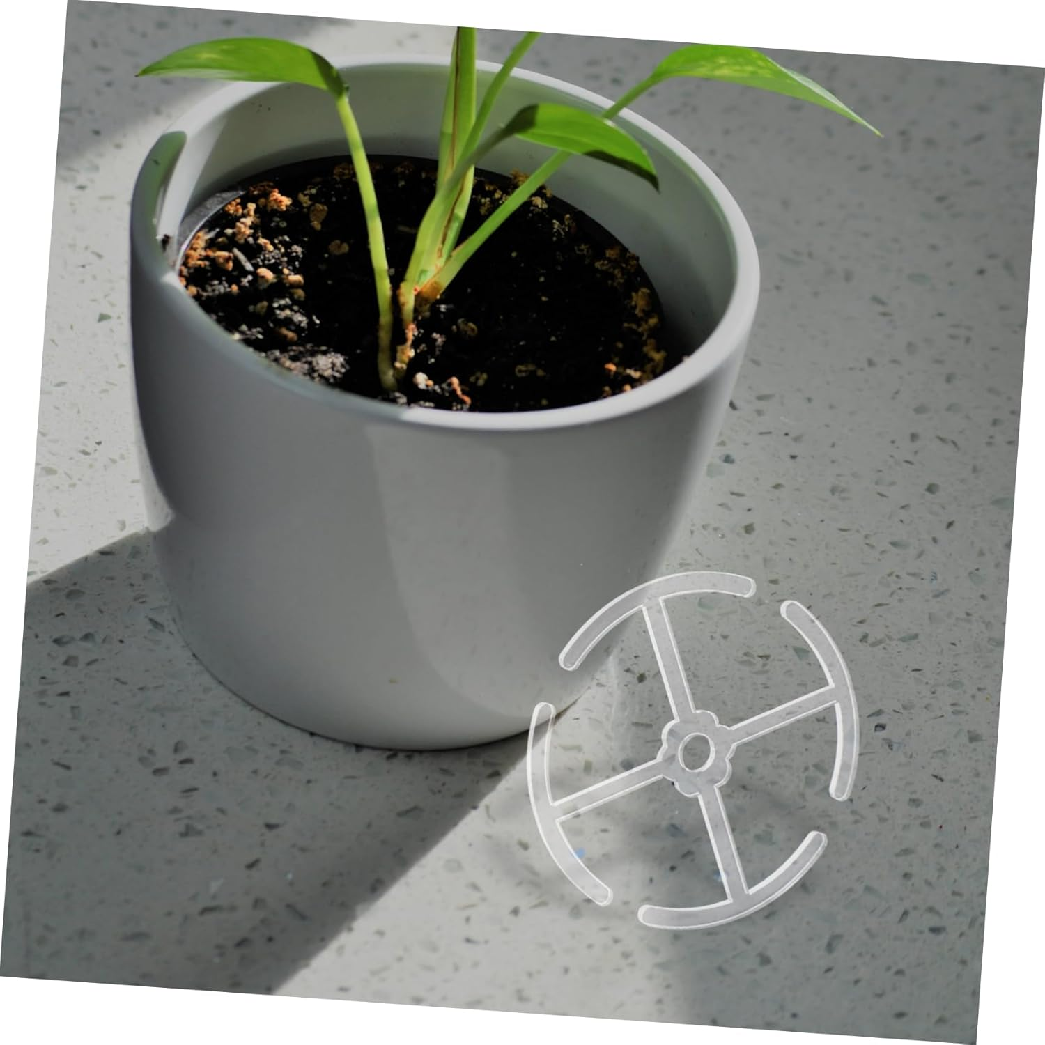 ORFOFE 4Pcs Plant Stem Holders for Indoor Support Versatile Climbing Support for Flowers and Bonsai Easy Installation Acrylic Stems Holder for Indoor Gardening image number 6