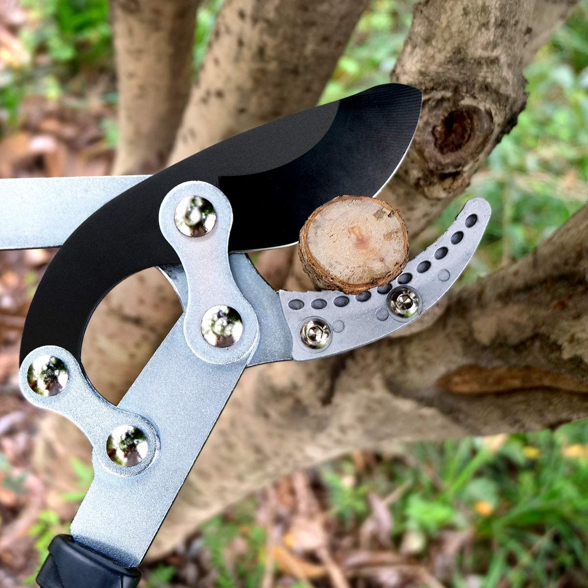 Jardineer 2" Anvil Loppers Shears - Gardening Loppers Heavy Duty with Garden Shears & Spare Blade, Effortless Pruning Tree Loppers, 30" Long-Lever Tree Trimmer Branch Cutters image number 3