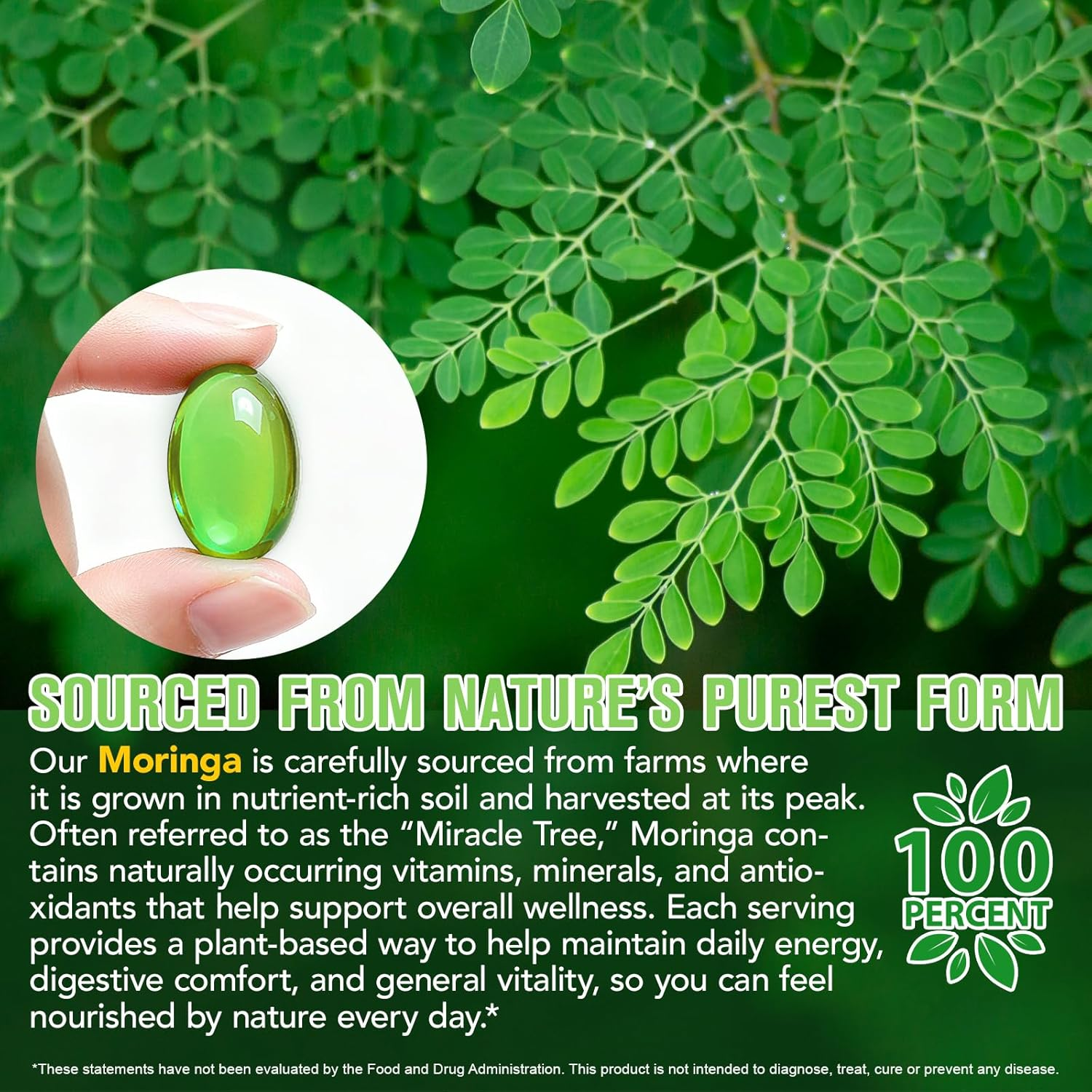 Moringa Softgels 6000Mg Equivalent | Plant-Based Moringa Leaf Extract | Gluten-Free, Dairy-Free, Egg-Free | Made for Daily Use | 240 Count image number 6