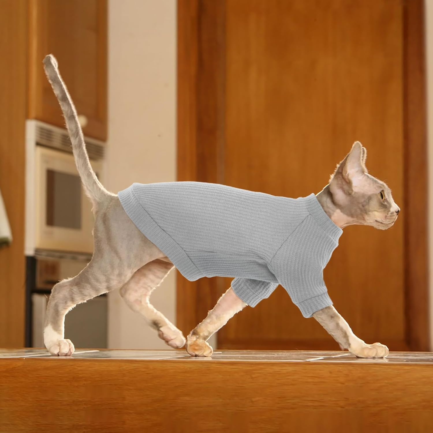 Iecoii Sphynx Cat Clothing, Hairless Cat T-Shirts, Cat Clothing Soft Cotton Cat Shirts for Cats Only, Jumper Cat Jumper Vest with Sleeves, for Sphynx, Cornish Rex, Devon Rex, Peterbald image number 3