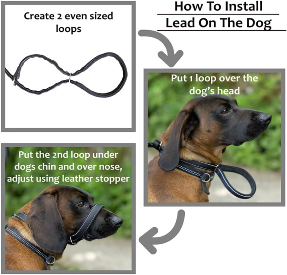 Sarini Dog Lead in the Shape of 8, Adjustable, 1.8 M, with Soft Grip and Padding, Anti-Pull Dog Lead, Suitable for Training Small, Medium and Large Dogs, Bissimitation Dog Lead image number 2