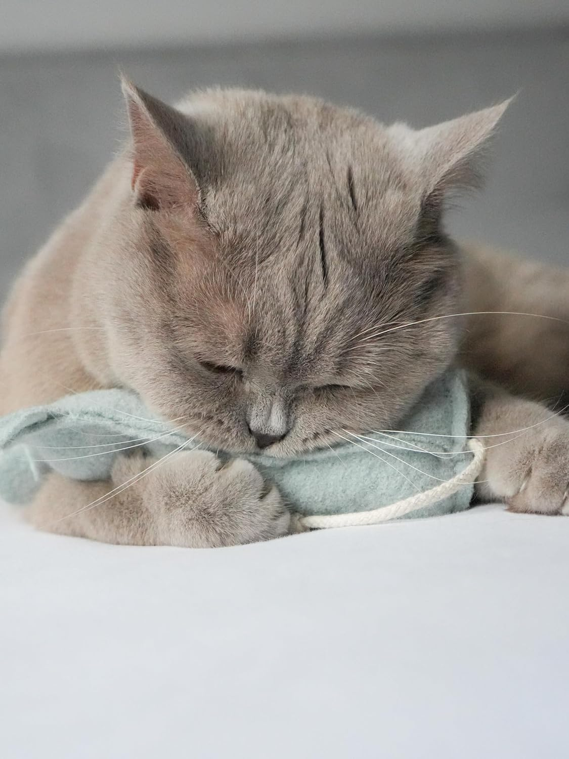 M&Auml;USERICH &ndash; the Hand-Stitched XL Cat Toy Mouse with Matatabi Filling for Self-Employment of Cats, Play Cushion for Cats, Scented Cushion with Silvervine Fruits (Instead of Catnip Sticks) image number 4