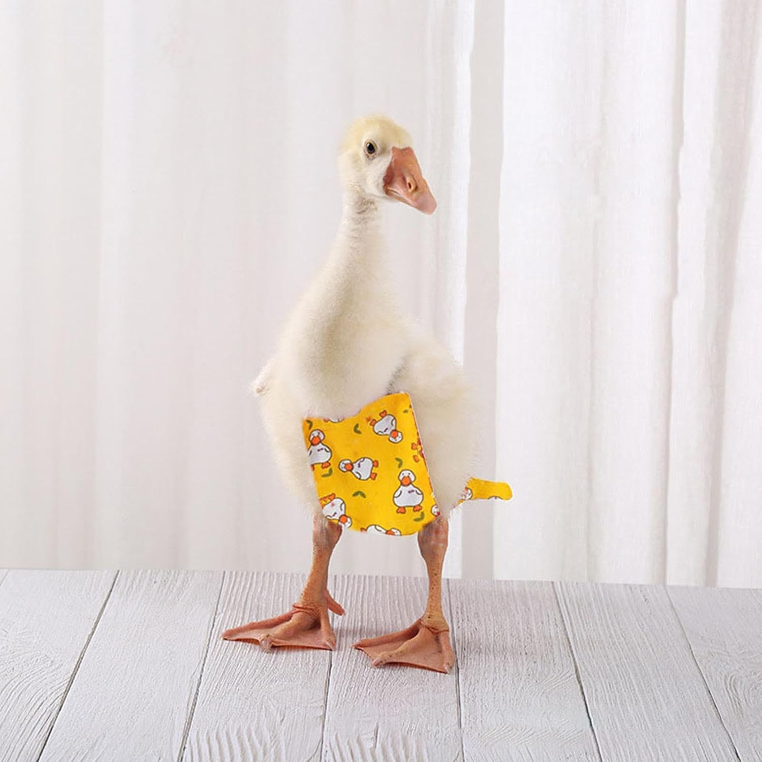 Duck Diapers for Pet Ducks - Reusable Farm Pet Diapers for Duckling - Duckling Diapers Chicken Clothes Poultry Diapers | Washable Leak Proof Duck Diapers for Hens Poultry Duck image number 4