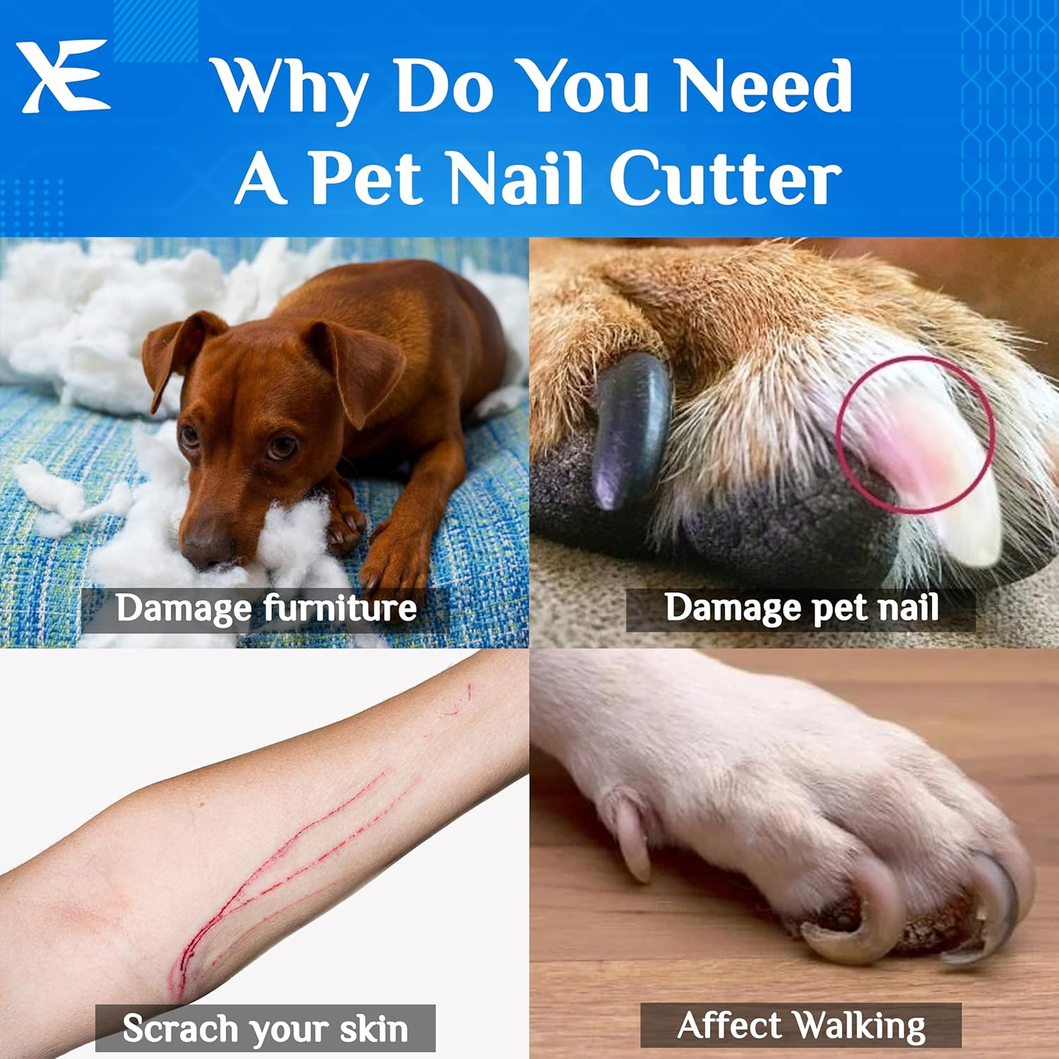 XE Stainless Steel Pet Nail Clipper &ndash; Non-Slip Handle Nail Cutter for Pets with Protection Guard, Cat and Dog Claw Trimmer with Nail File, Professional Grooming Tool for Dogs, Cats & Other Pets image number 2