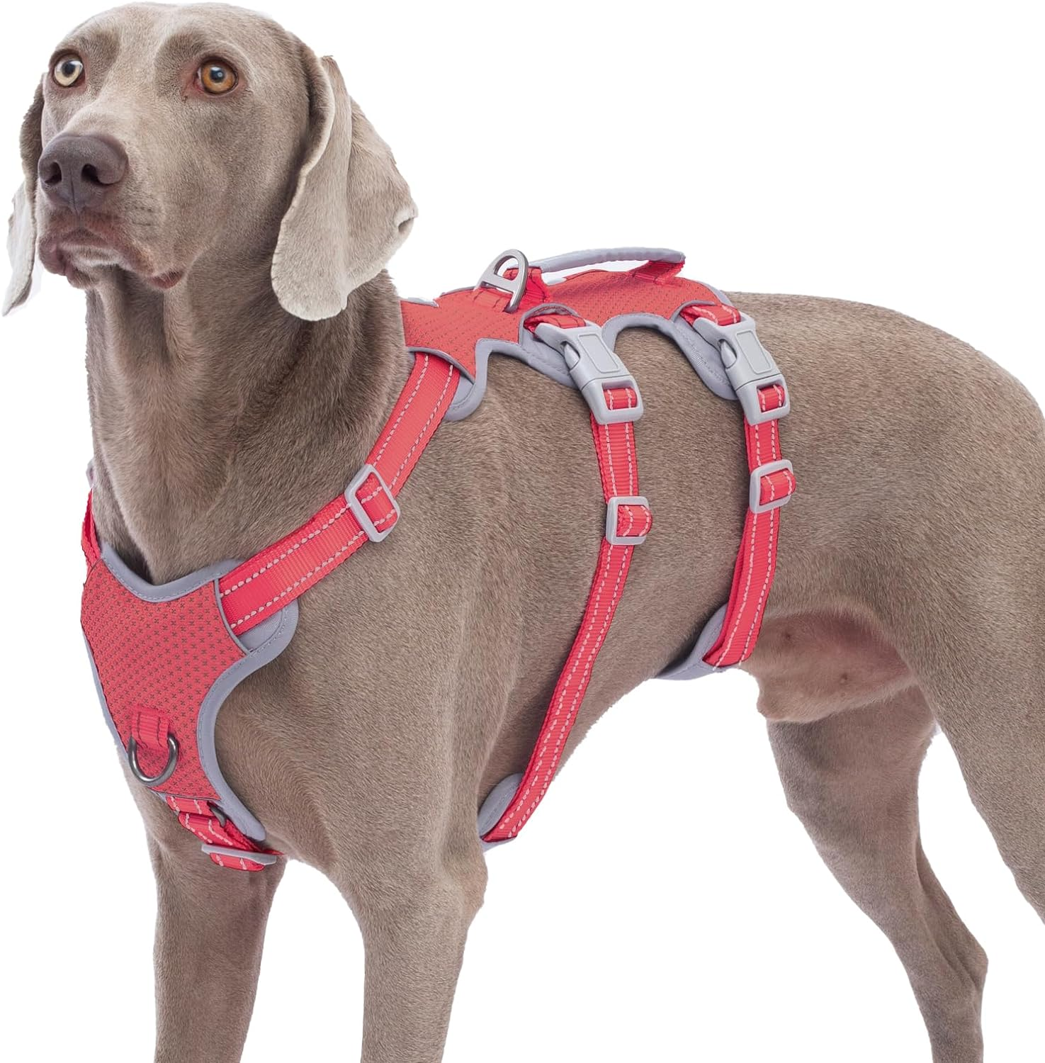 Dog Harnesses Escape Proof, Escape Artist Harness, Fully Reflective Harness with Padded Handle, Breathable, Durable, Adjustable Vest for Large Dogs Walking, Training, and Running Gear (Pink,L)