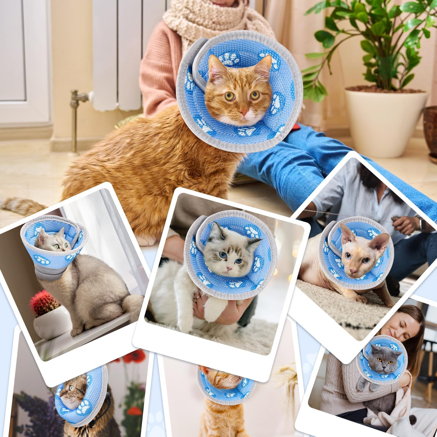 Slowton Cat Recovery Collar - Protective Adjustable Elizabethan Recovery Collars anti Licking Wounds Cute Comfortable Lightweight Pet Cone Collar for Cats Puppy Small Dogs Pets Animals after Surgery image number 5
