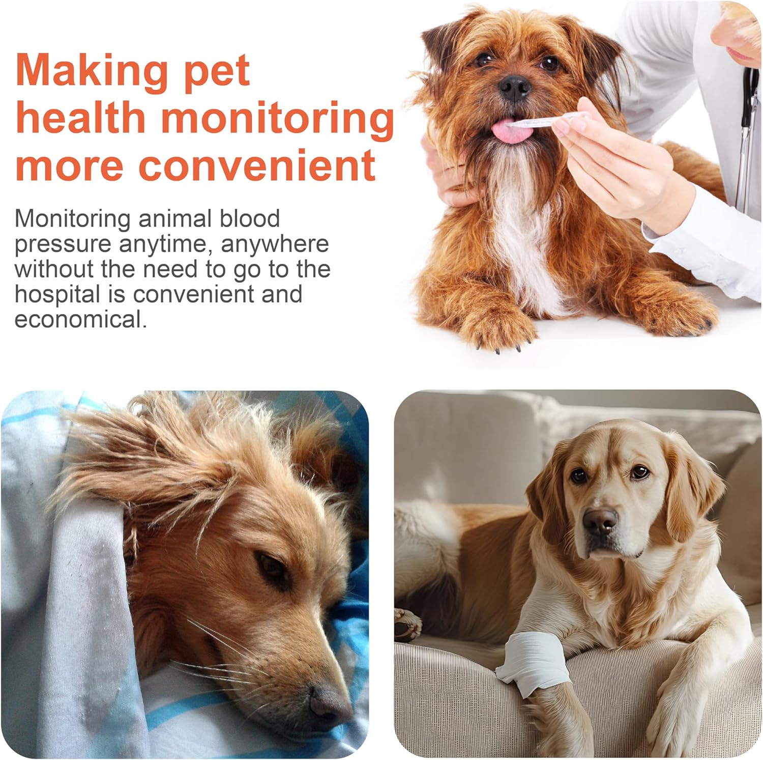 Veterinary Blood Pressure Monitor, Automatic Digital BP Machine for Dogs Cat,Silent Operation Feline Blood Pressure Monitor,3.5 Inch LCD Screen and 1000 Sets Data Memory,One Button Operation image number 2