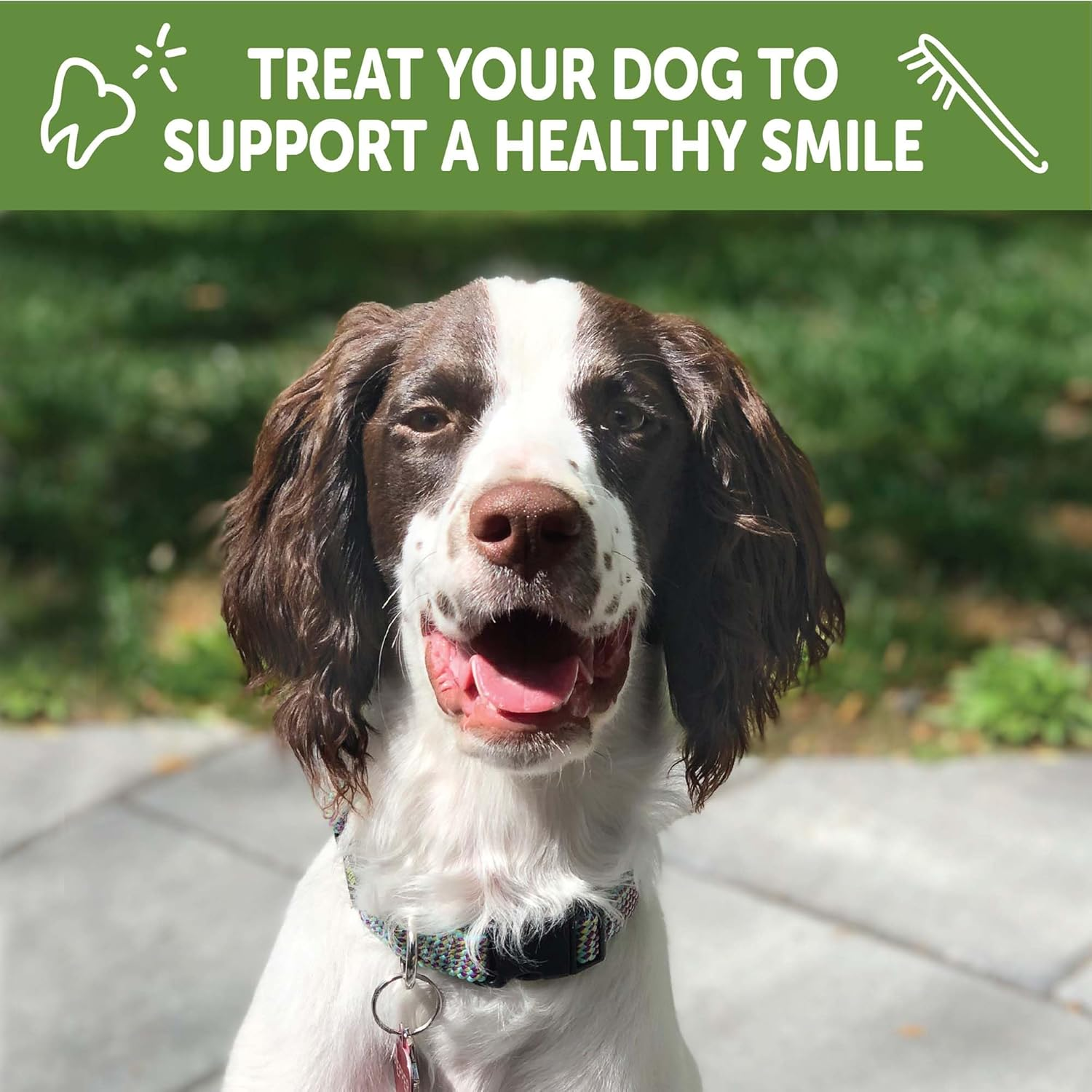 Whimzees Dry Dog Food, 28 Pack Extra Small/Small