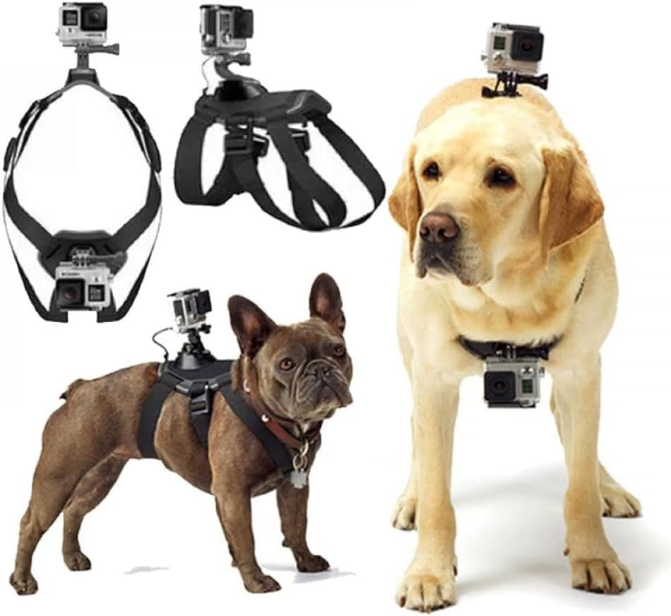Dog Harness Gopro, Soft and Adjustable Gopro Dog Harness Mount for Large, Medium and Small Dogs Can Be Used for Chest and Back Fixation Suitable for All Models of Gopro Hero image number 5