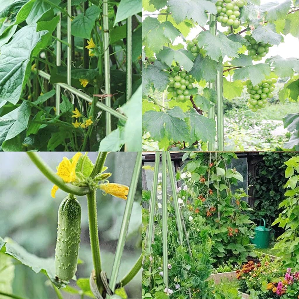 Garden Stakes Steel Plant Tomato Flowers and Vegetables with Plastic Coat, for Climbing Gardening Supplies (24 Inch) Accessories (Size : 8X60CM) image number 2