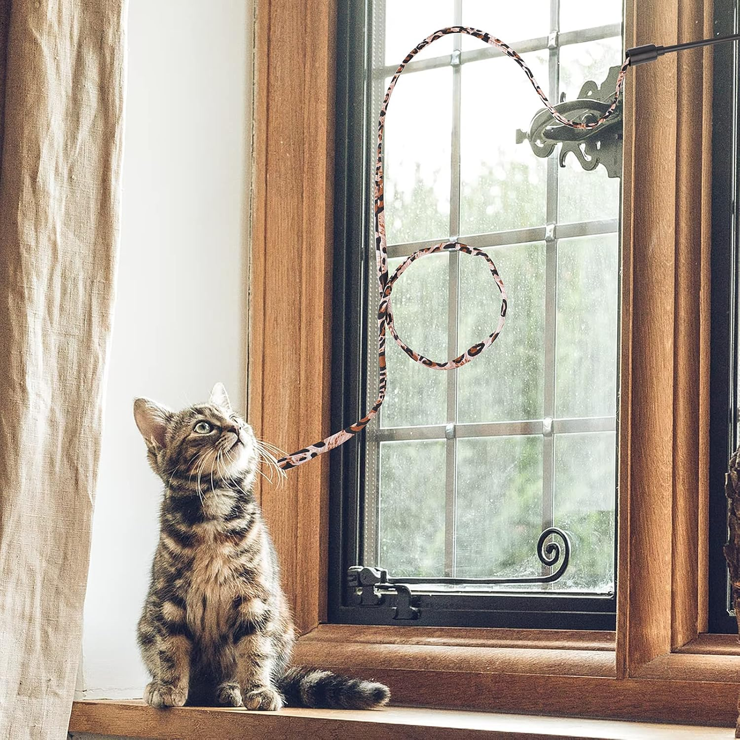 Molain Cat Wand Rainbow Toy - 5Pcs Ribbon for Kittens Training, Interactive Stick Toy for Kitten Exerciser Playing (30Cm, Leopard Print) image number 3