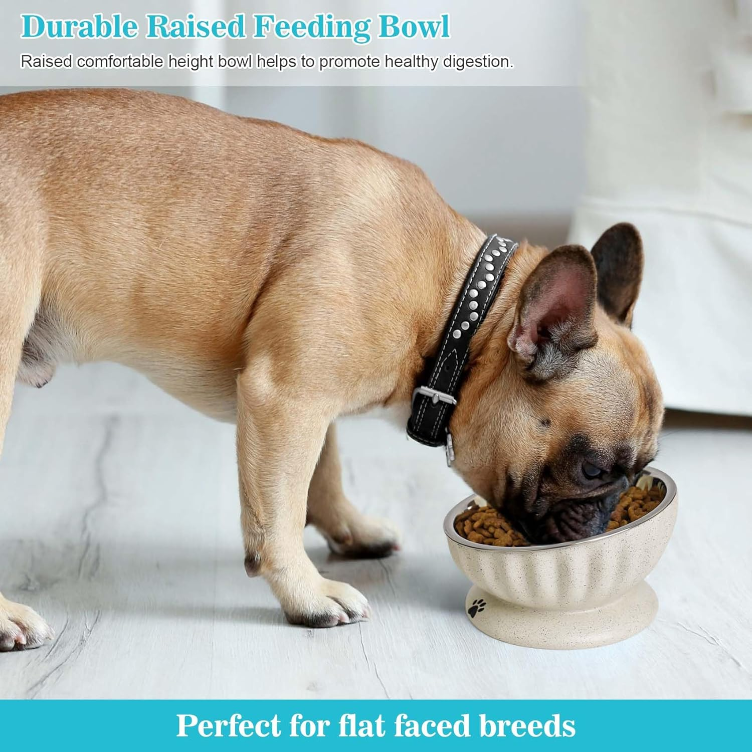 Dog Bowl for Small Dogs, Removable Stainless Steel Dog Bowls with Resin Base, Elevated and Tilted 15&deg; Pet Food/Water Bowl,15Oz Pet Food Bowl for Small Sizes image number 6