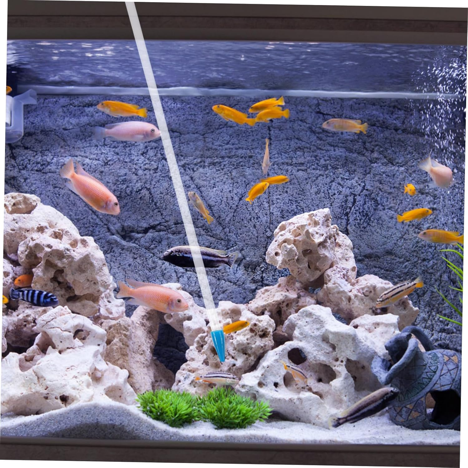 CANIGHT Coral Feeder for Liquid Fertilizer for Fish and Reef Coral Aquariums Efficient Tool for Fish Tank Care image number 4