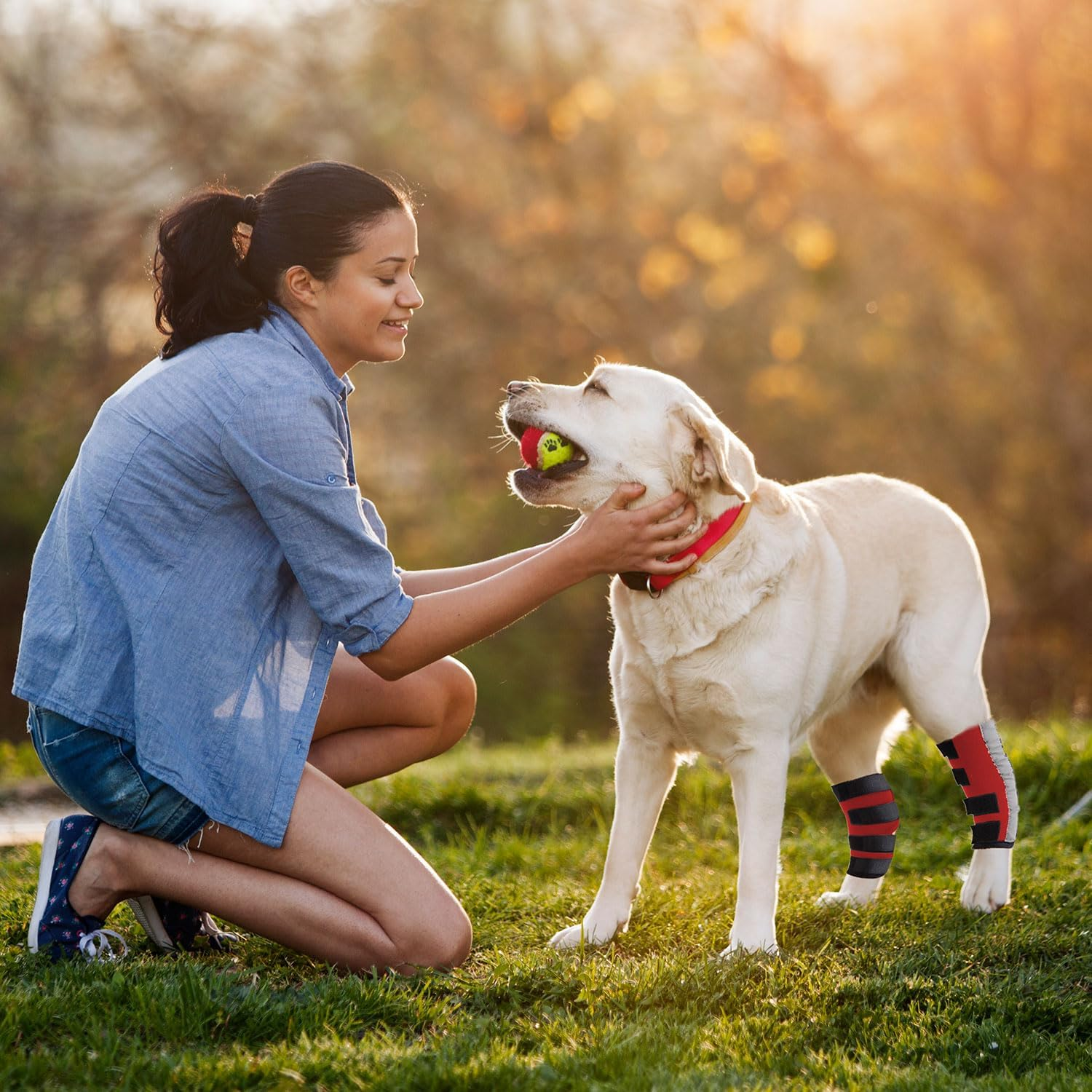 NACOCO Dog Leg Brace- Pair of Dog Canine Leg Wrap with Safety Reflective Straps Protects Wounds Brace Heals and Prevents Injuries and Sprains (Small) image number 1