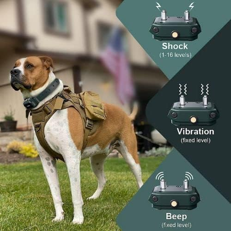 HW900 Waterproof Outdoor Dog Training Collar for Medium to Large Dogs with Remote, Beep Tone, Vibration, and Bark Control (1 Collar)
