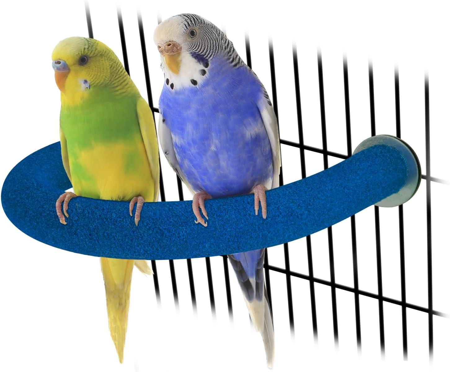 RYPET Parrot Perch Rough-Surfaced - Quartz Sands Bird Cage Perches for Medium to Large Bird, U Shape Large