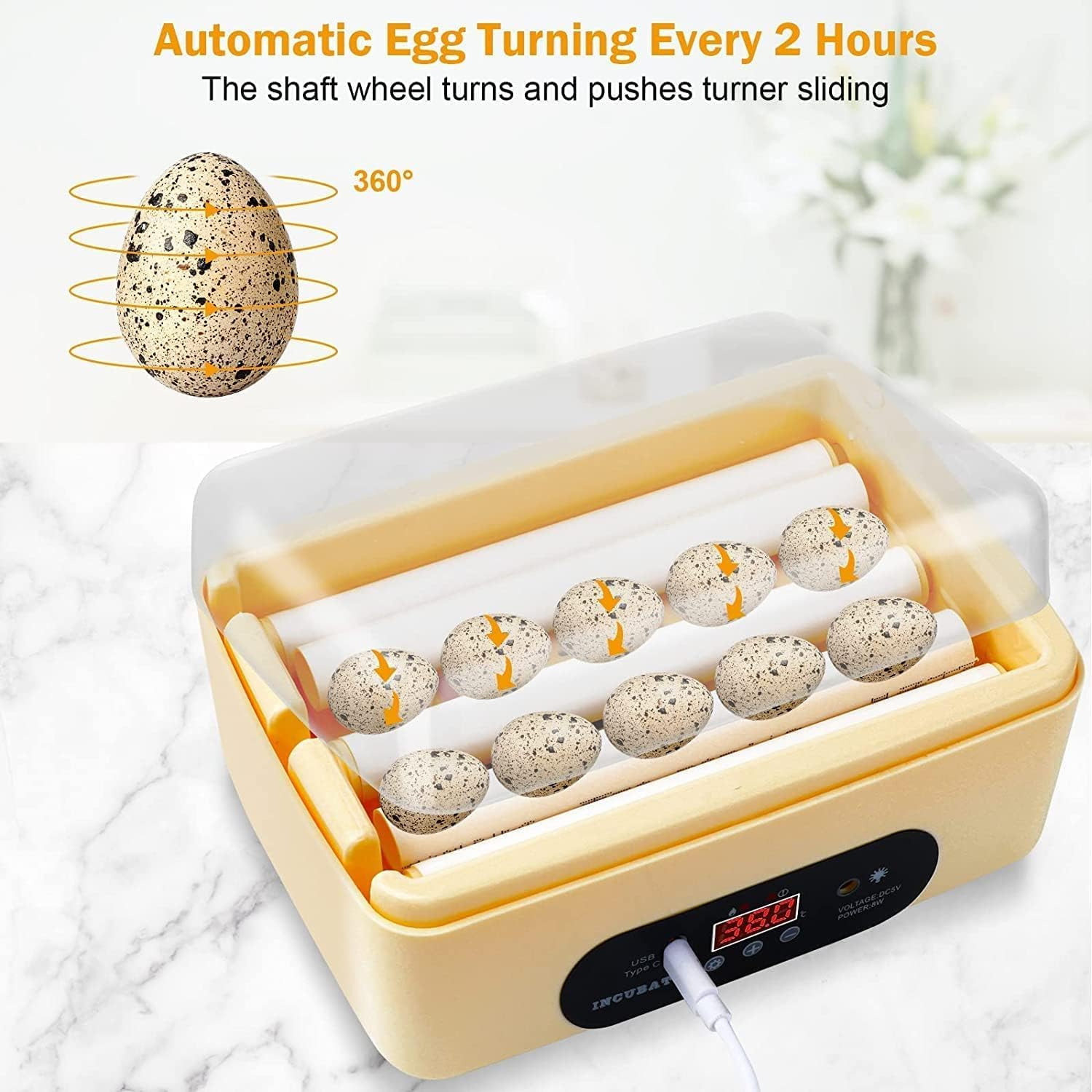 6 Eggs Automatic Digital Hatching Eggs, Egg Incubator Poultry Hatching Machine with Humidity Control Hand Water Adding for Hatching Chicken Duck Quail Bird Eggs image number 5