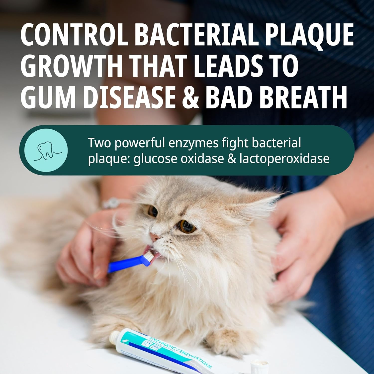 Virbac C.E.T. Oral Hygiene Kit for Cats and Dogs | 3 Piece Set with Dual Ended Toothbrush, Fingerbrush, and Poultry Flavor 2.5 Oz Tube of Toothpaste | Remove Plaque & Tartar Buildup image number 6