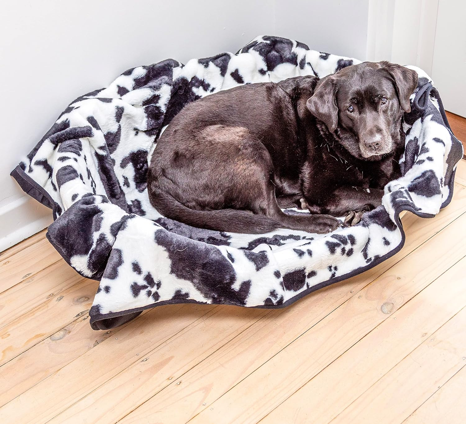 AUSSIE FURBABY Waterproof Dog Blanket - 152X127Cm Sofa Cover Throw Blanket. Ideal Pet Mat for Large Dogs or Cat Blankie - Washable Dog Couch Cover, Car Seat Cover, Cat Bed or Bed Blanket image number 4