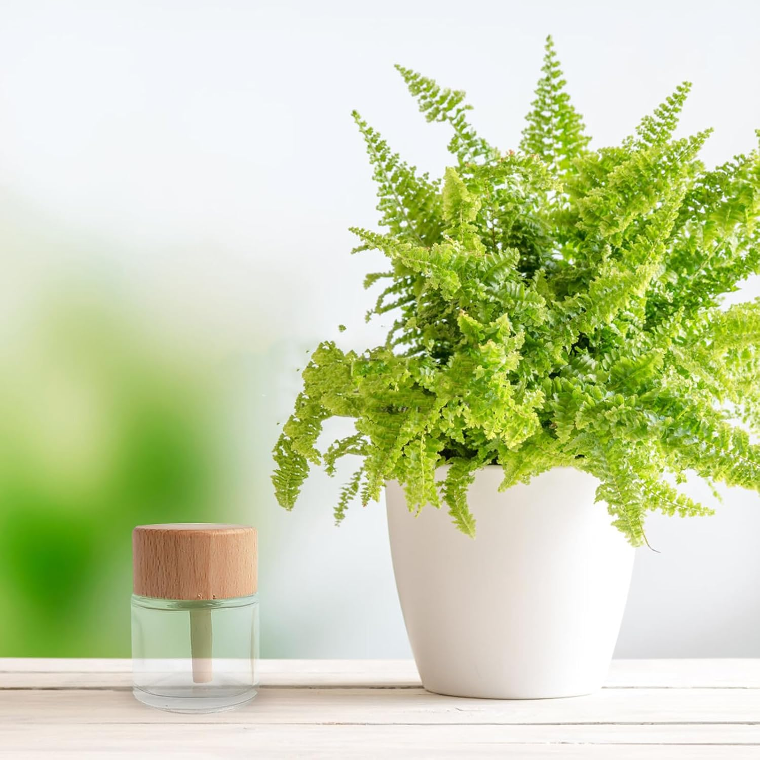 2Pcs Clear Glass Diffuser Bottles Stylish Aromatherapy for Home Decor for Essential Oils Travel-Friendly Design for Living Room Bathroom And image number 4