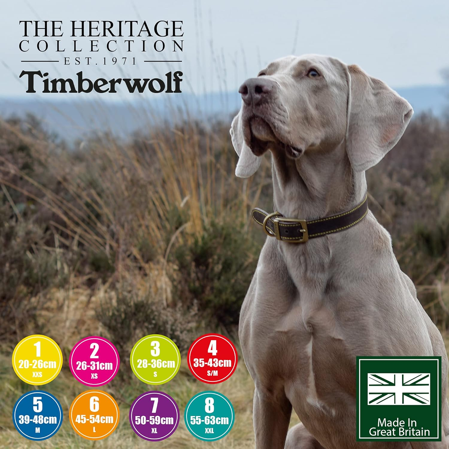 Ancol Timberwolf round Leather Collar image number 3