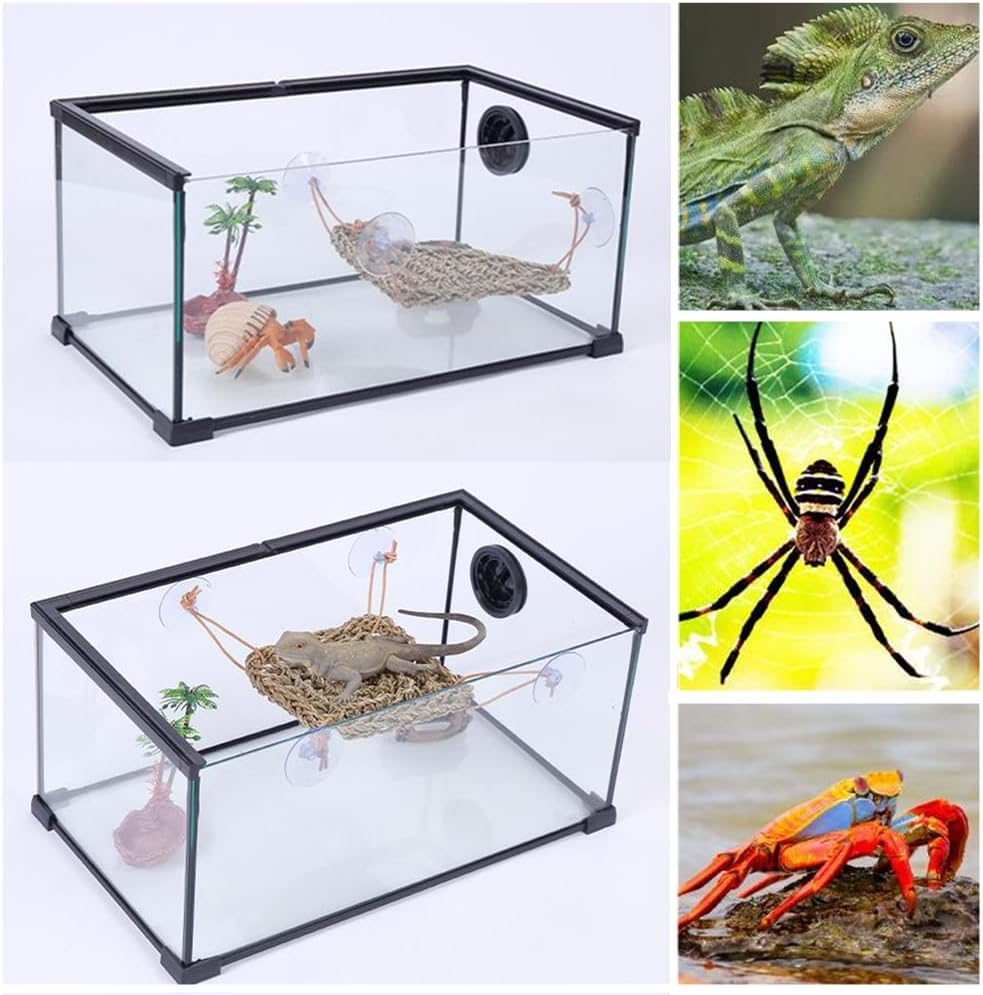 Seagrass Mat Hermit Crab Climbing Toy,Granmagazz Hermit Crab Climbing Toys, Lizard Hammock with Suction Cup, Natural Seagrass Woven Net, Accessories for Small Reptiles image number 4