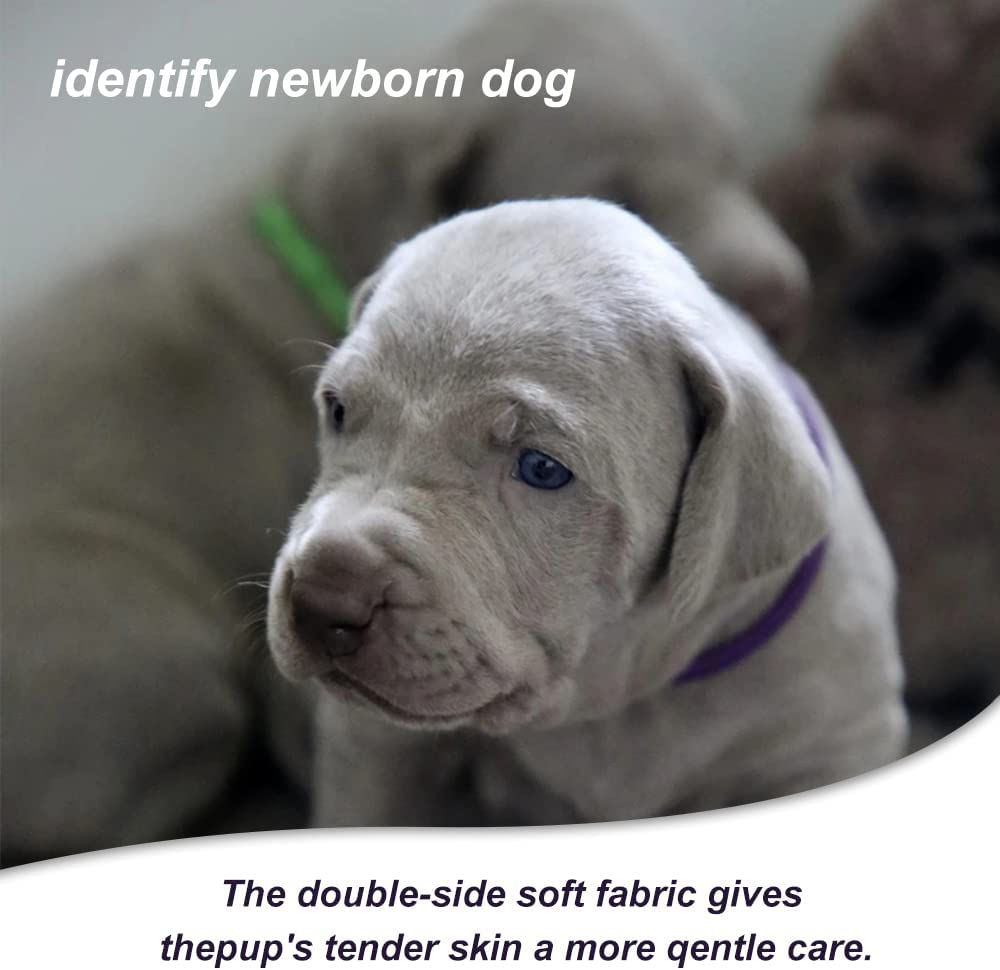 30Pcs Puppy Collars, Kittens Whelping Collars, Adjustable Identification Dog Collar, Double Sided Soft Nylon Collar Strap for Newborn Pet image number 6