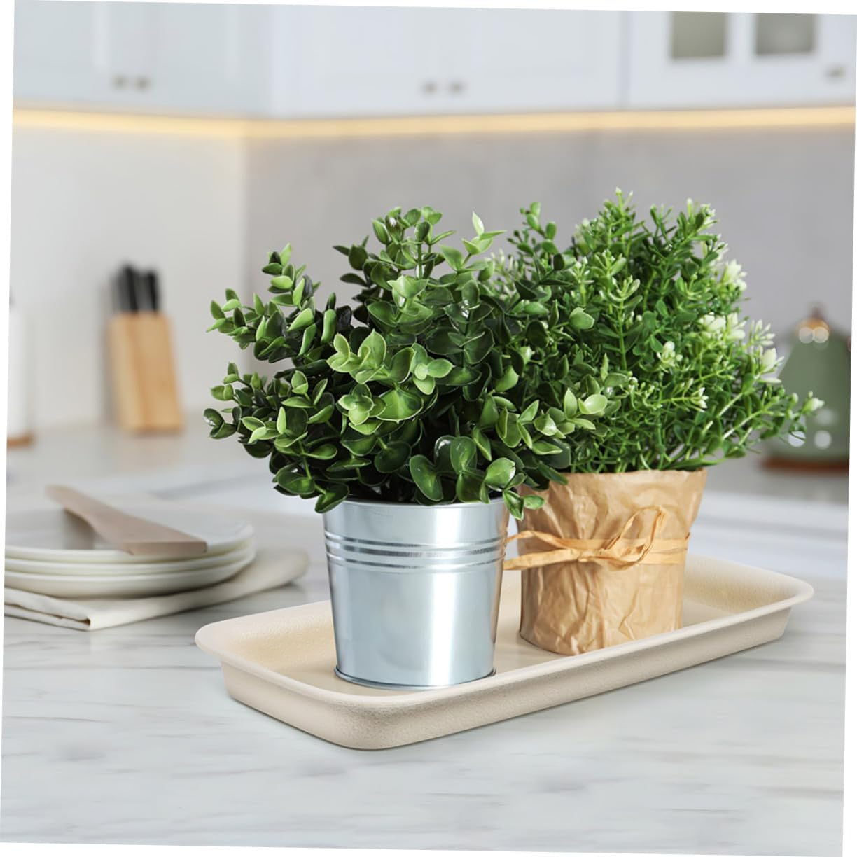 BESPORTBLE Plant Saucer Tray Set for Indoor Plants, 4Pcs Beige Plastic Pot Drip Trays (35.5X14.3Cm) Leak-Proof Water Catchers for Flower Pots and Planters image number 1