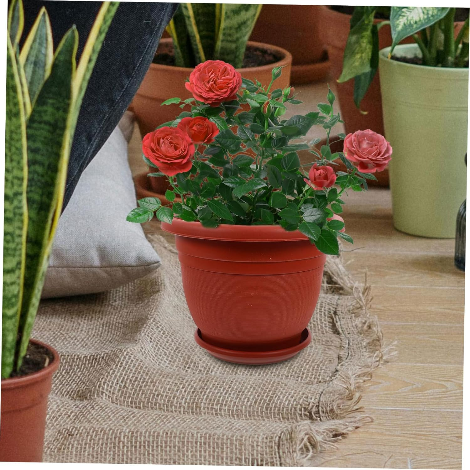 CIYODO Piece Set of Heavy Duty Seedling Pots Indoor Plant Pots Drainage Holes Red Clay Finish for Flower Arrangement and Gardening image number 5