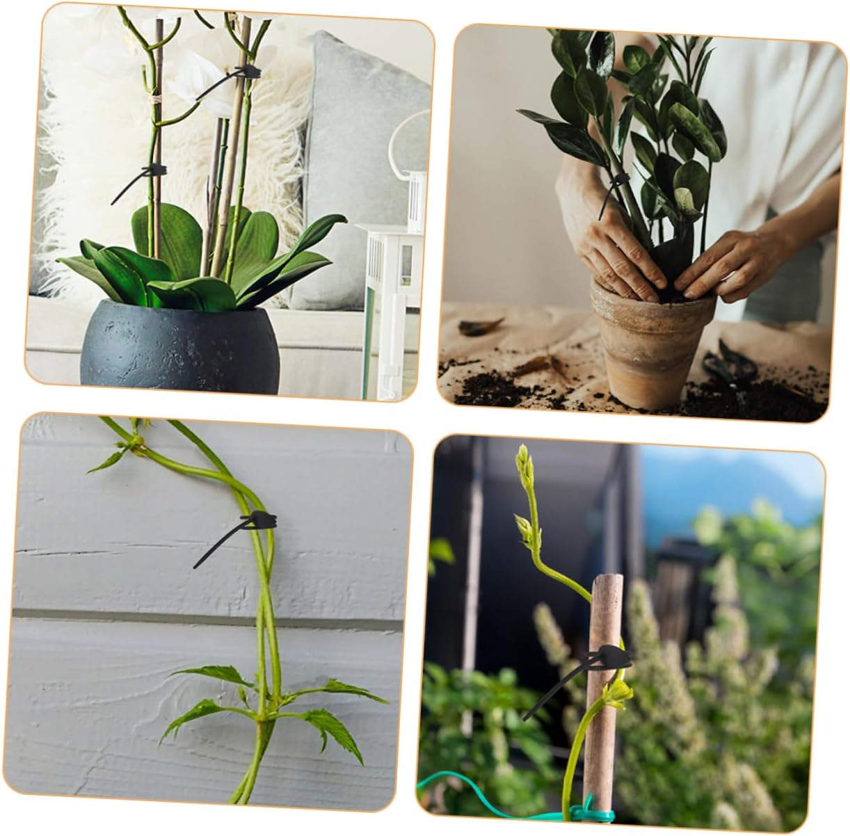 BEBEMOKO 20Pcs Black Silicone Plant Ties for Garden and Floral Wire Plant Fixing Tool, Flexible Twist Ties for Vegetable and Flower Stem Support, Reusable Gardening Straps for Home image number 3
