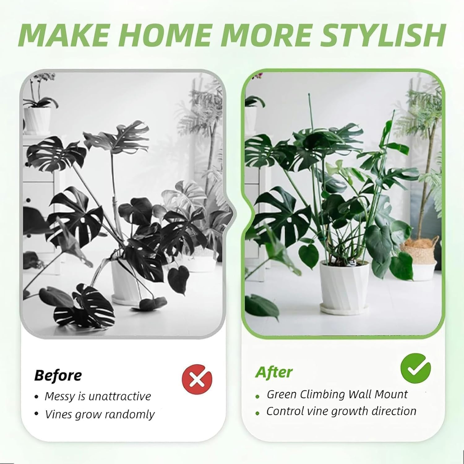 Frog Plant Stand, Frog Plant Holder, Flower Pot Hugger Plant Climbing Fixture Clips, Cute & Stable Support, Make Your Plants Stand More Upright, for Indoor, Outdoor(5Pcs) image number 6