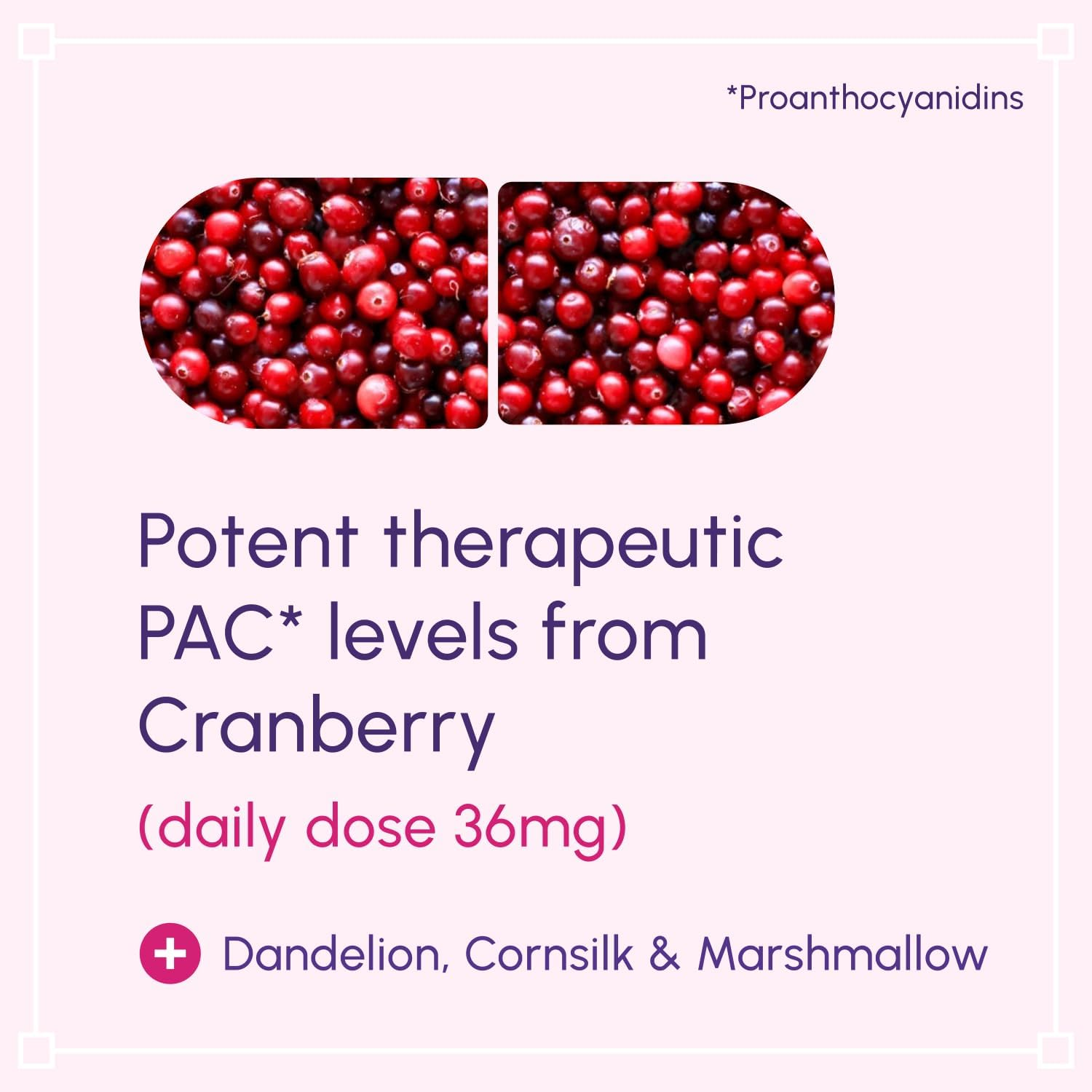 UT Cleanse for Relief of Cystitis - Helps Relieve Inflammation, Burning, Irritation and Frequency, and Prevent Recurring Utis. Non-Antibiotic, Herbal Formula with Clinically Researched Ingredients - 28 Capsules image number 3