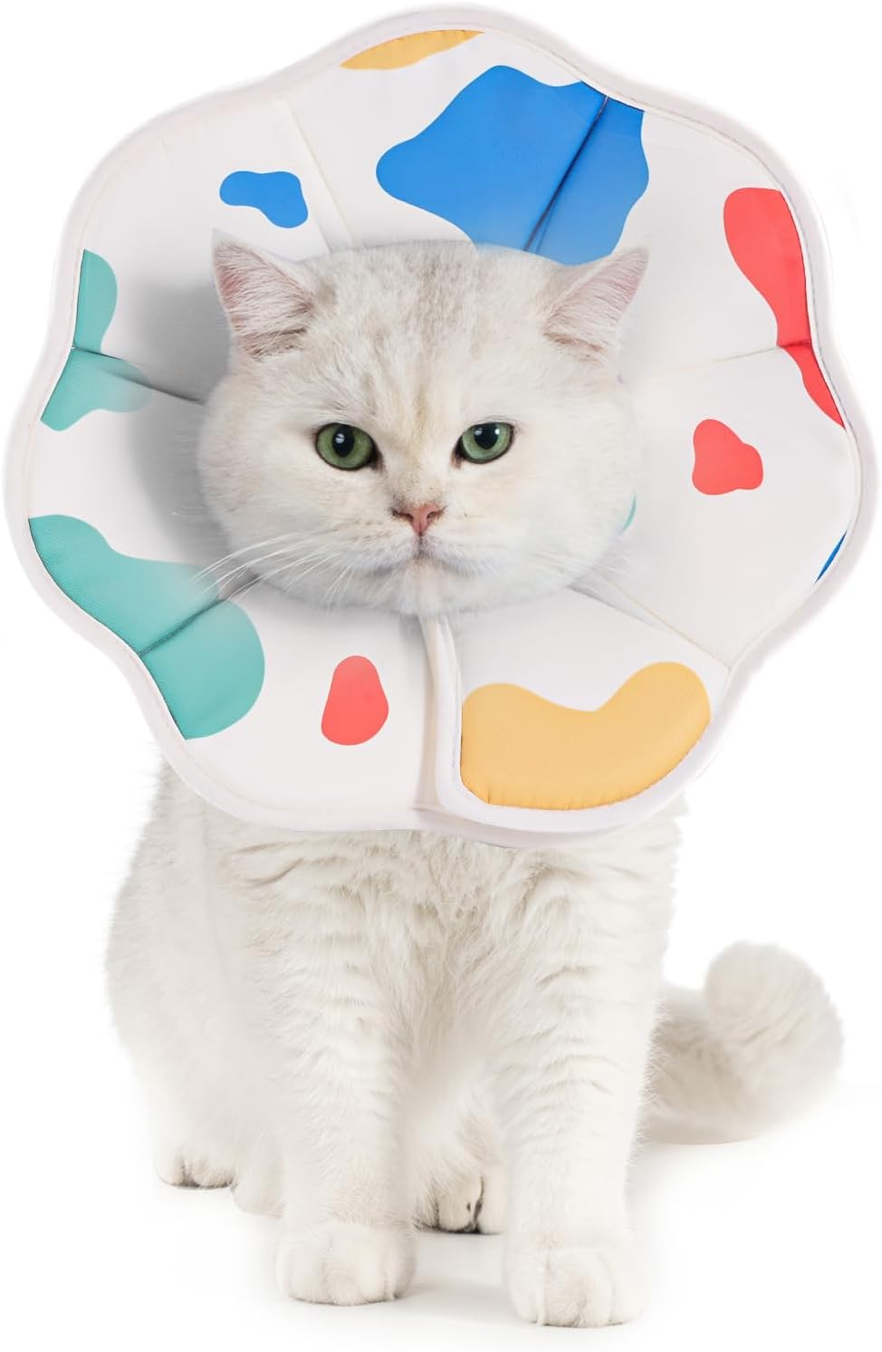 Avont Soft Cat Recovery Cone Collar, Adjustable Cat Elizabethan Collar for Cats and Small Dogs, Comfortable Cone to Stop Licking after Surgery, Lightweight Twill Fabric E-Collar -Skate(M)