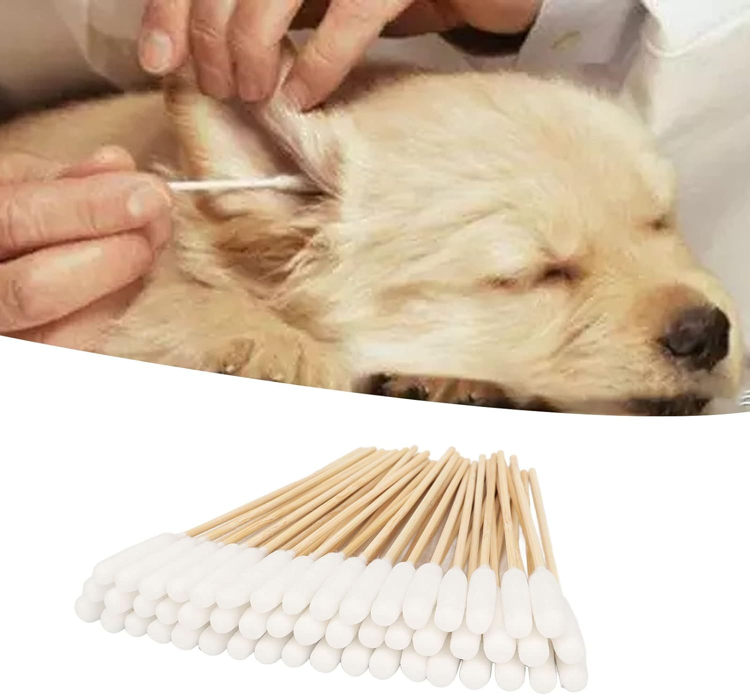 100Pcs Long Cotton Swabs for Dogs, Cat, Puppy, 6 Inch Specially Designed Dirt Removal Big Cotton Bud, Large Means Safe, Ear Cleaner for Apply Medicine, Clean Wound, Ear Cleaning image number 4