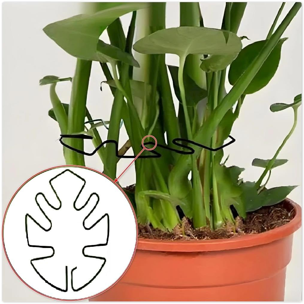 6PCS Turtle Shell Bamboo Clamp Set Durable Plant Stem Support, Grapple Holder & Stabilizer for Garden Flowers, Vegetables,Outdoor Gardening Tools for Thriving Growth (Black)