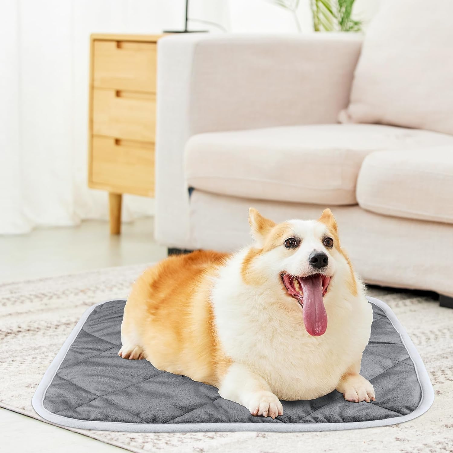 NACOCO Self Warming Cat Bed- Ultra Soft Cat Dog Indoor Pet Pad Winter Machine Washable Anti-Slip Pet Mat for Small Medium Dog (58 * 88Cm) image number 3