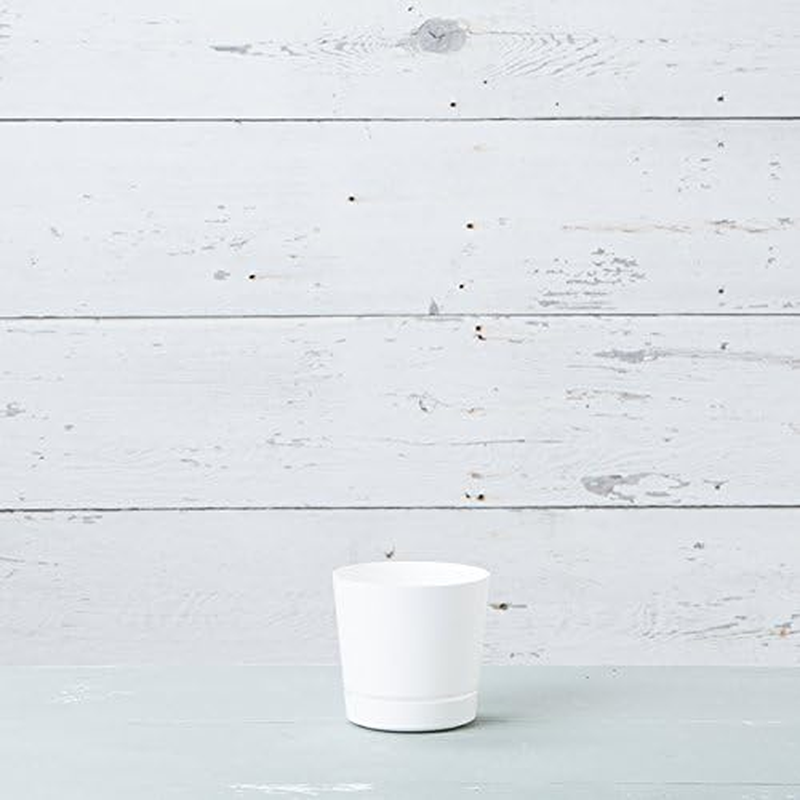 Novelty Majestic Full Depth round Cylinder Pot, Glossy White, 6-Inch (10062) - 6-Inch, White image number 3