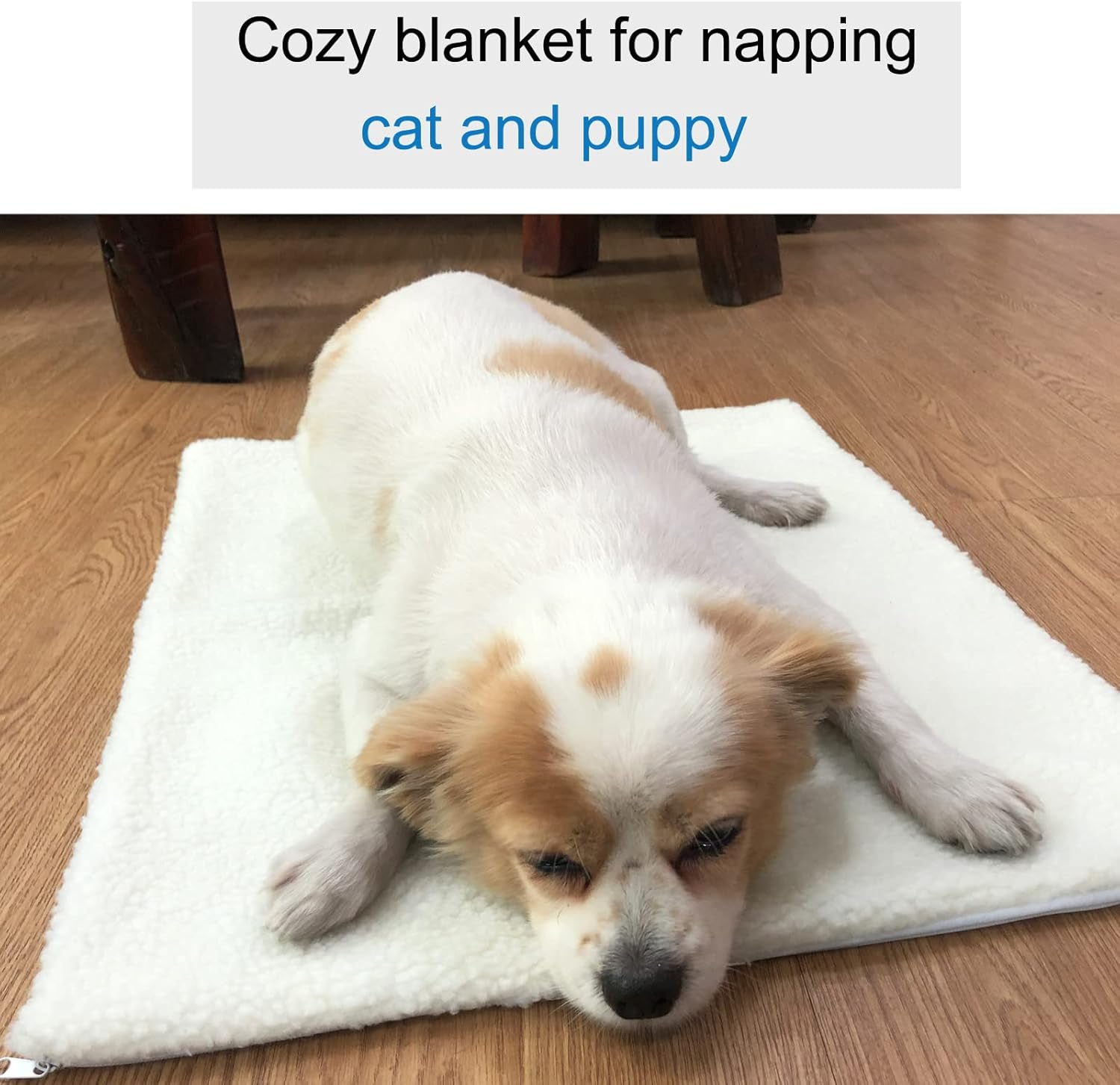 SUOXU Cat Bed Self Heating Cat Cushion Pet Pad Blanket No Electric Self Warming,Plush Cat Sleeping Heated Bed Non Slip Machine Washable Warm Mat for Indoor Outdoor Cats,Dogs,Rabbits 60X45Cm (White) image number 2