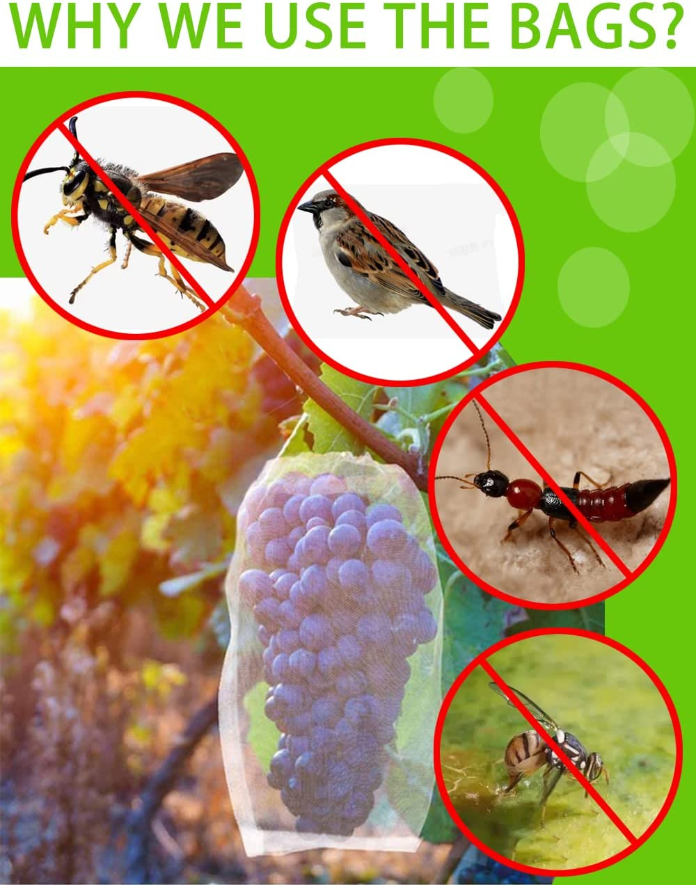 15X25Cm Fruit Protect Bags, 100 PCS Reusable Mesh Garden Netting Protection Bag for Plants Vegetables Plant Fruit Flower, Fruit Bags Net Bag for Fruit Trees, Fruit Cover Nylon Mesh Bag with Drawstring image number 4