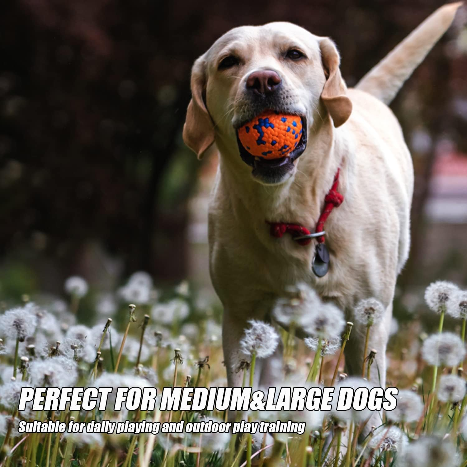 Ling-Luo 2 Pcs Dog Balls Toys for Aggressive Chewers,Indestructible Floating Bouncy Balls for Dogs,Lightweight Dog Chew Balls,Fetch Balls for Medium&Small Dogs Play image number 4