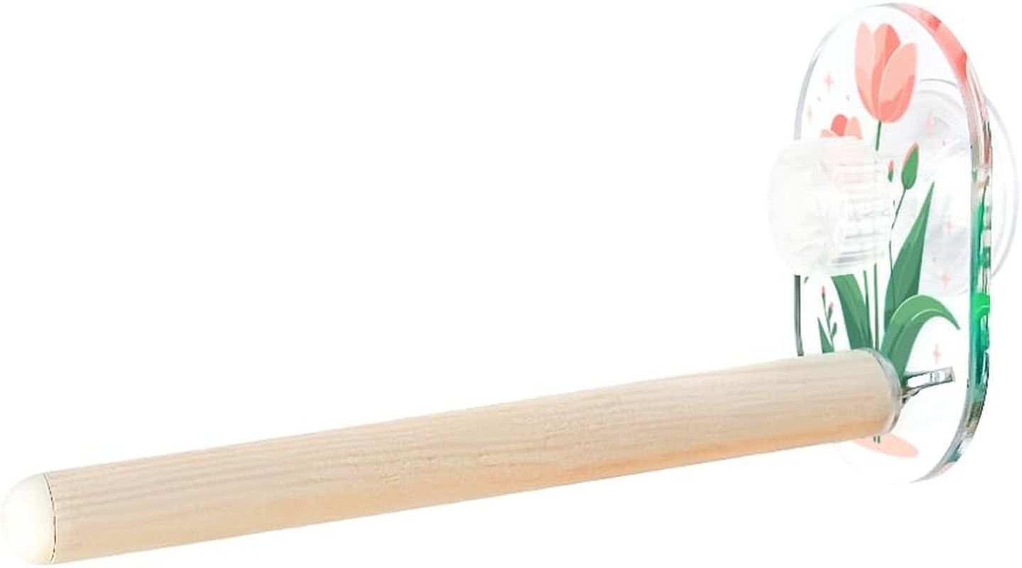 AIMALL Acrylic Parrot Suction Stand Rod with Natural Pine Wood Perch 8.85In &times; 0.78In Bar for Tiger Skin Budgies Peony Birds Cockatiels Lovebirds Car Window Bird Swing Toy