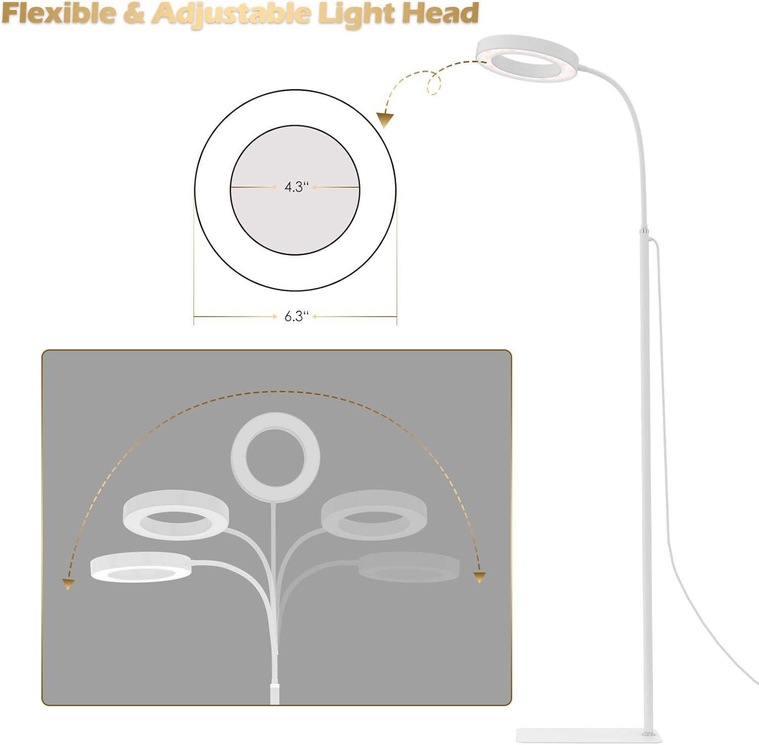 GLOWRIUM Grow Lights for Indoor Plants, 20W Full Spectrum LED Grow Floor Lamp with Stand Adjustable Height and Angle, White Plant Light with 3/9/12H Grow Light Timer image number 2