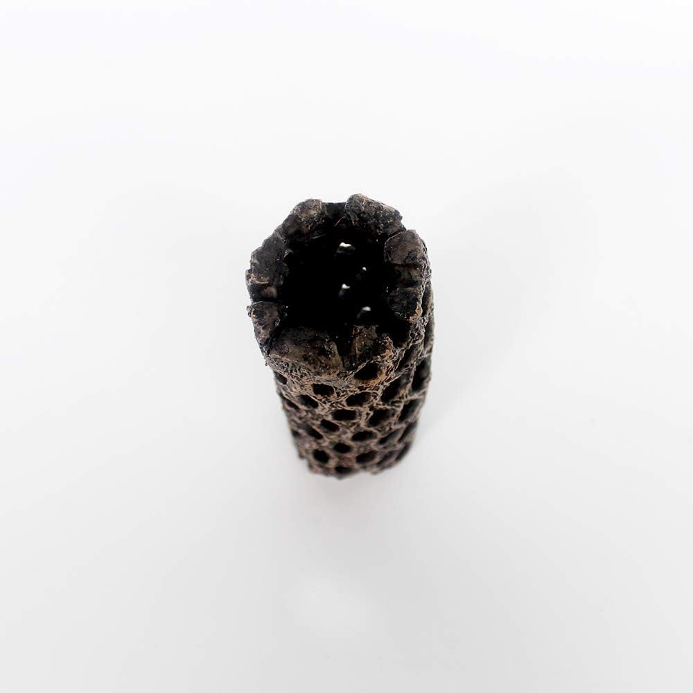 Resin Hiding Cave Reptile Box Shelter Hole House Landscape HL-36 image number 1