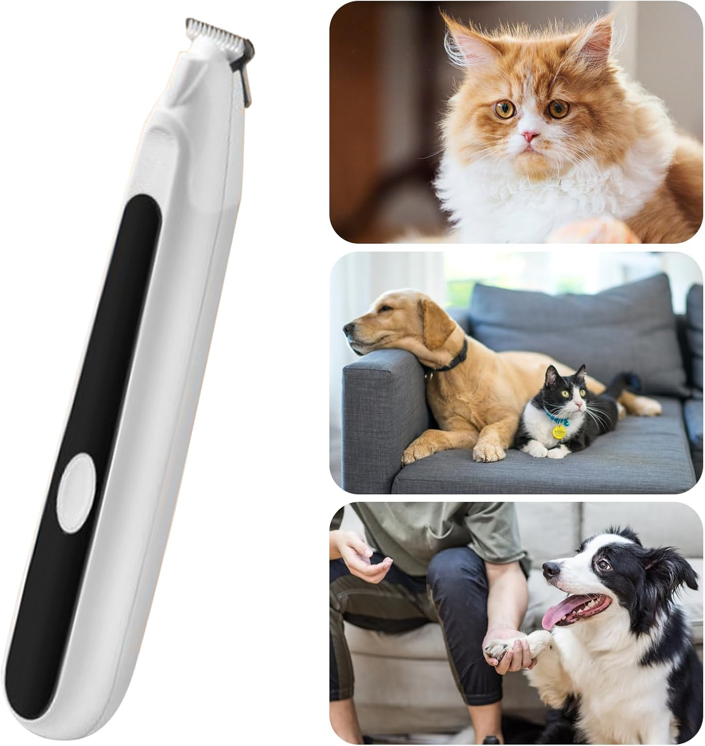 Cat Hair Trimmer,Cat Clippers for Grooming - Low Noise Pet Groomer Supplies, Grooming Tool for Small Medium Animals Puppy Kitten Eyes Ears Face image number 3