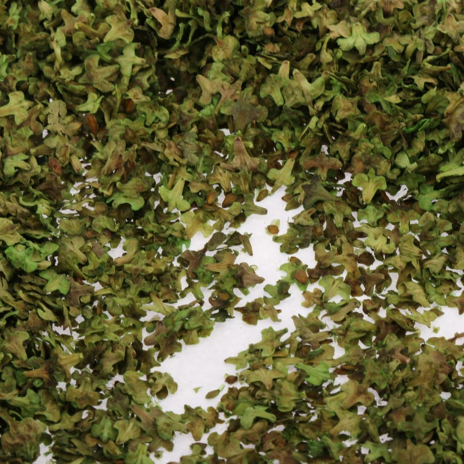 Model Scenery Leaf, Realistic Miniature Leaves, Simulation Leaves for Train Landscape Railway Artificial Grass Modeling, Summer Green