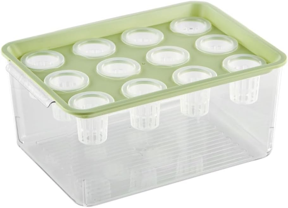 Transparent Plastic Rectangular Hydroponic Planter Box with Twelve-Hole Cover, Portable Micro Landscape Plant and Fish Tank, Ideal for Living Room Desktop Decoration, Durable Material