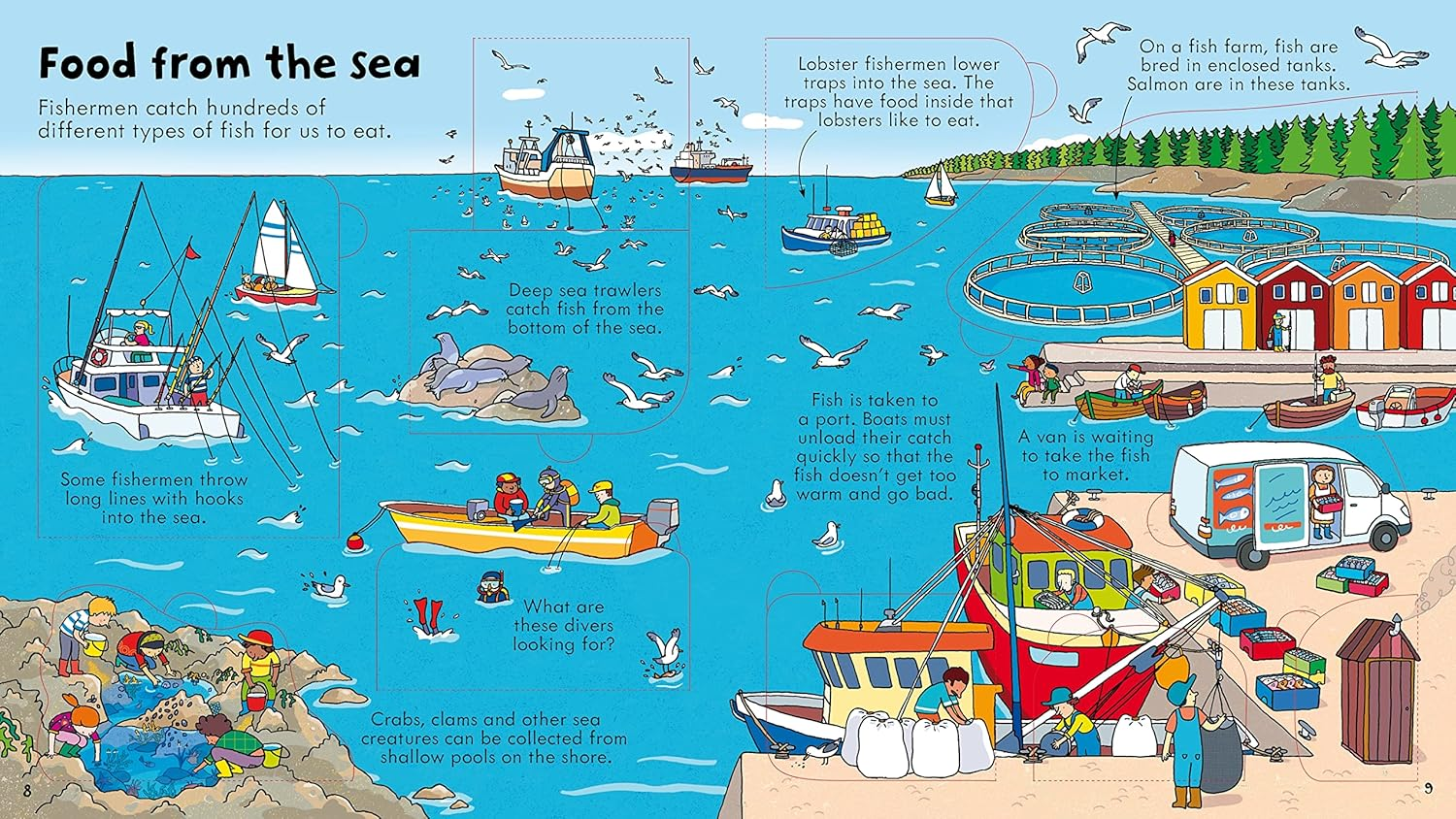 Look inside Food image number 3