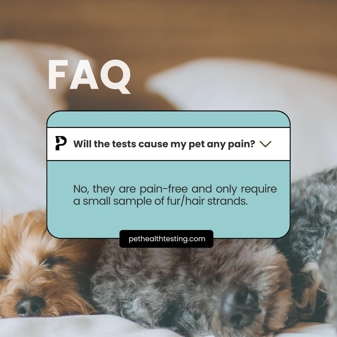 Pet Health Testing - Horse Sensitivity Test Kit | Easy to Use | Non-Invasive Fur Sample | 300 Item Test | Personalised Results Report in 3 Days | AUS Based Testing